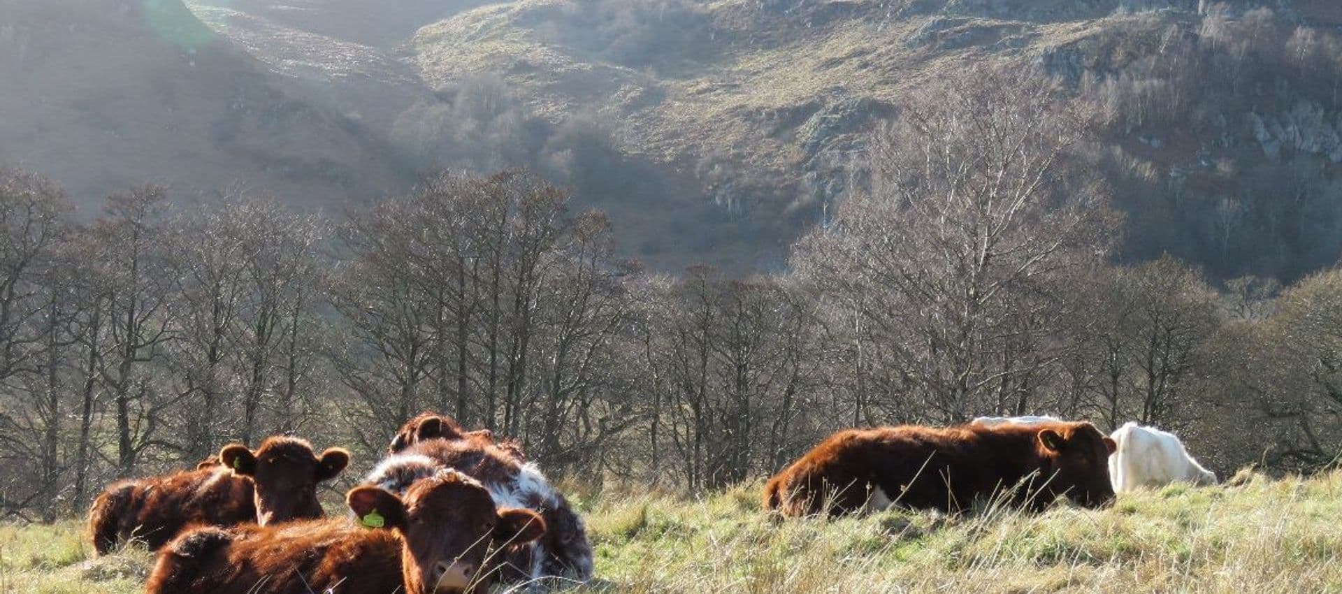 Gowbarrow Hall Farm Cumbria