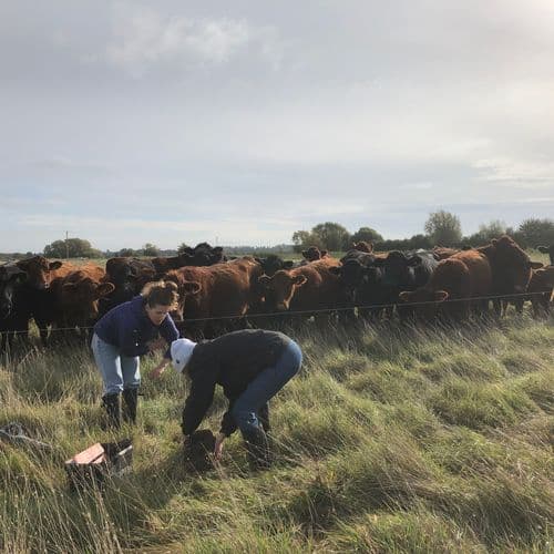 FAI Farms, Oxfordshire