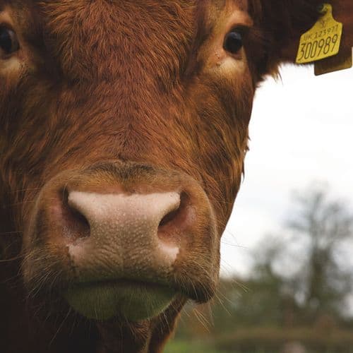 Image of what Ardross Farm Shop stands for