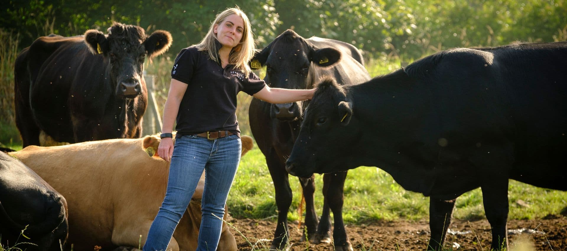 Ardross Farm Shop main image