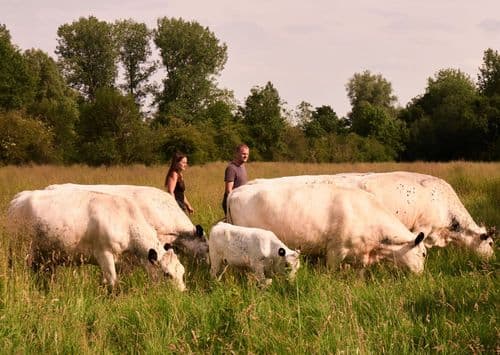 James and Katie Allen's Business main image