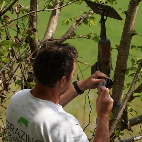 Consultant Alex Crawley