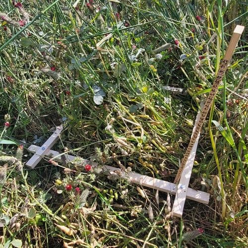 Consultant Jamie Jack