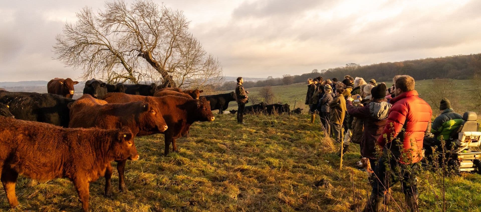 Group of farmers listening to speaker on outwintering cattle