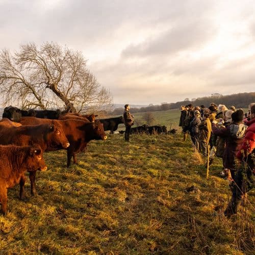 Group of farmers listening to speaker on outwintering cattle