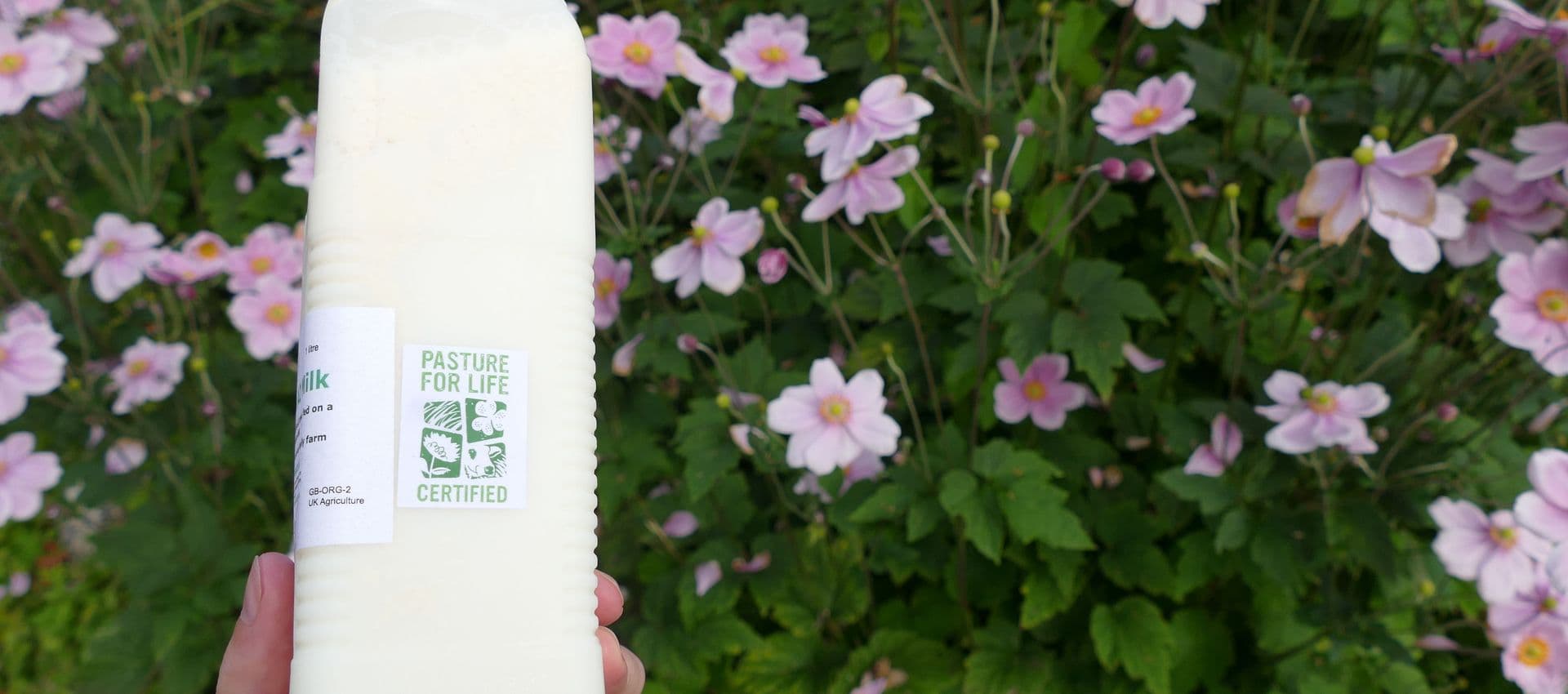 Bottle of milk with Pasture for Life certified label