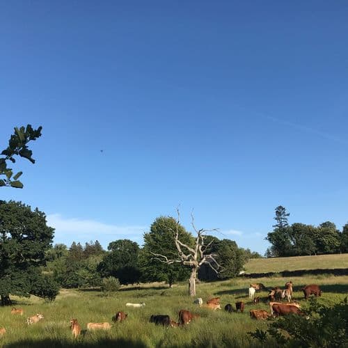 Image of who Seb Powell's Business is