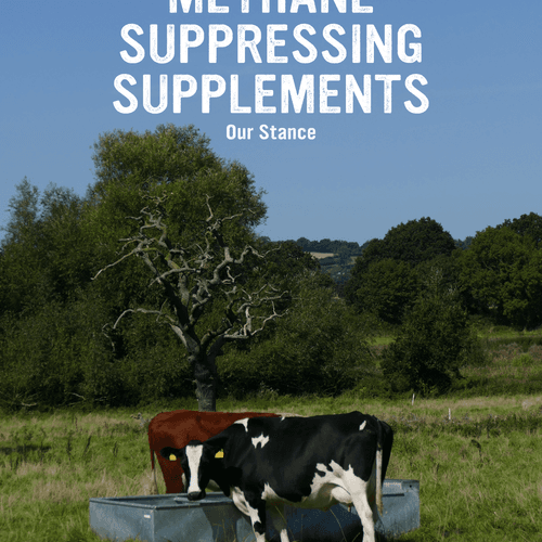 Methane Suppressing Supplements: Our Stance