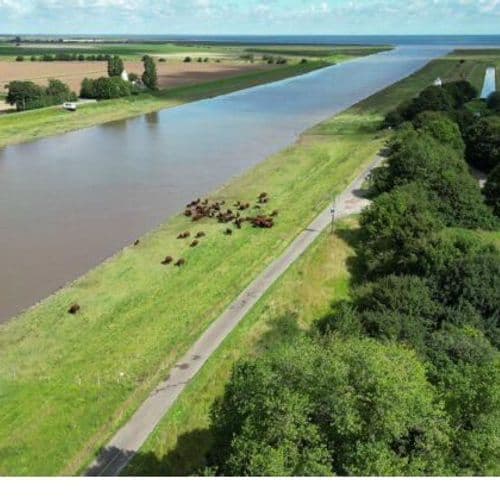 Proctor Brothers Long Sutton Limited - Pasture for Life certified farm