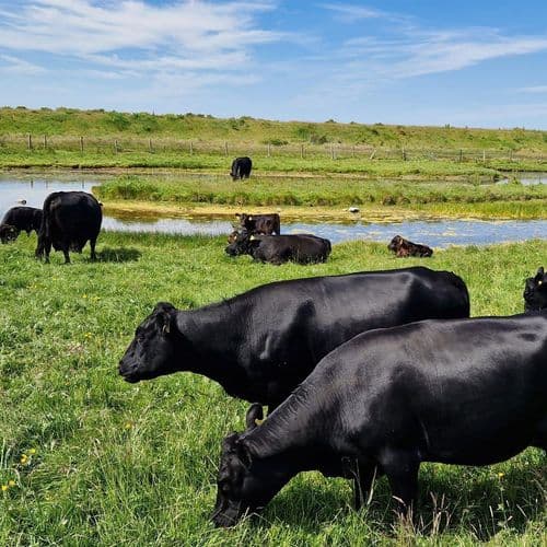 Annual Report 2023/24