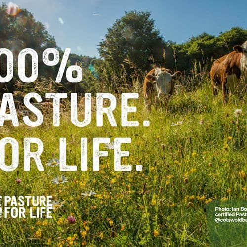 Postcard 2 - Biodiversity (A6, 8mm bleed)_Page_1.jpg