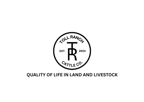 Toll Ranch  main image