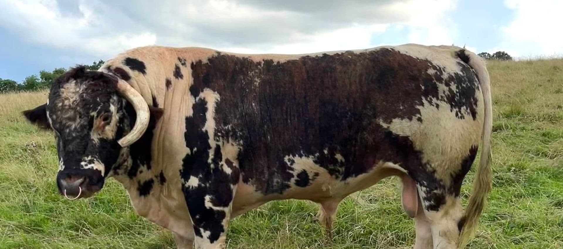 Newgap Ltd main image