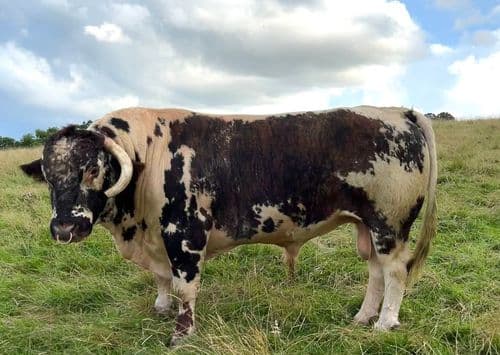 Newgap Ltd main image