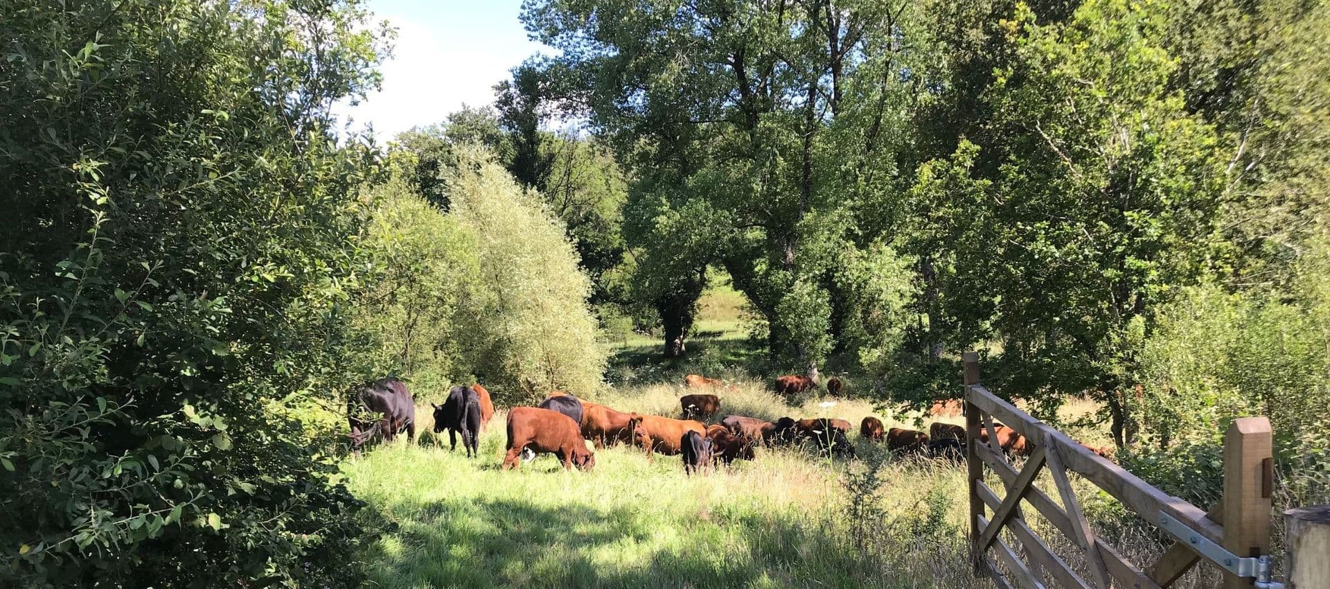 Essebeare Farming LLP main image