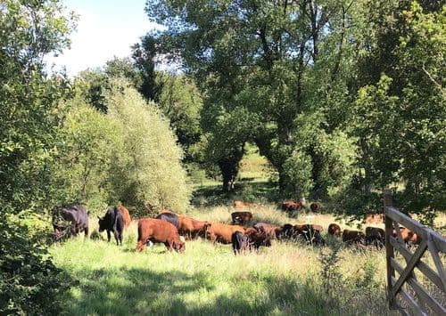 Essebeare Farming LLP main image