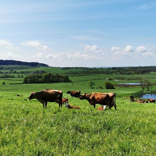 Image of what Farm on the Fell stands for