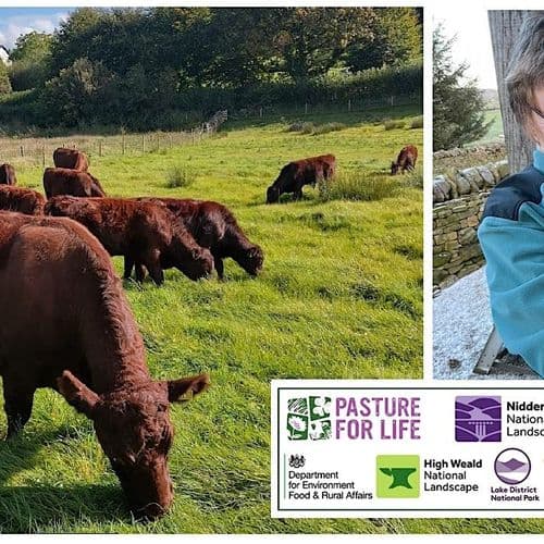 meta image for Nutritional Benefits of Pasture Fed Systems with Dr Gillian Butler