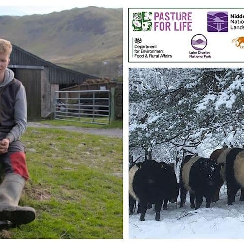 meta image for Transitioning an Upland Beef and Sheep Farm