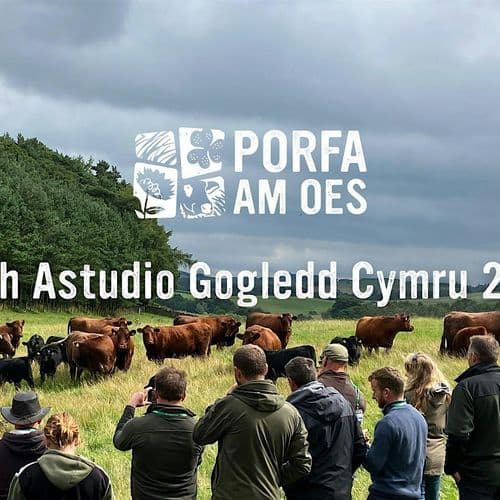 meta image for North Wales Study Tour - Taith Astudio Gogledd Cymru
