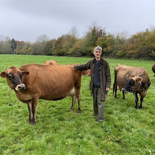 meta image for Stop Hidden Stress From Derailing Your Livestock Health and Resilience