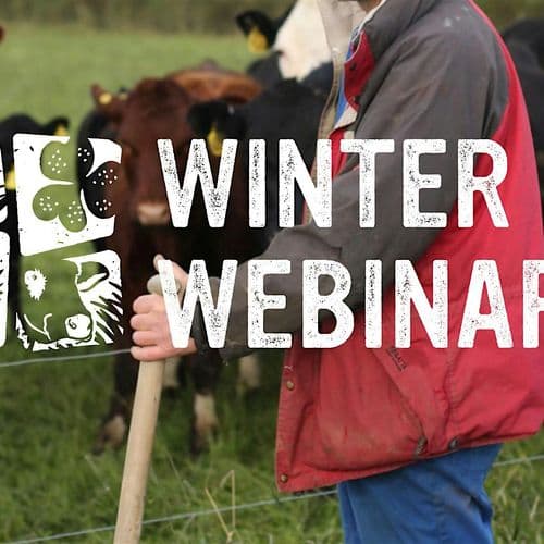 meta image for Holisitic Sustainability on farm