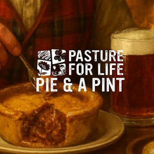 meta image for Pie & Pint: SOUTH Scotland Winter Social