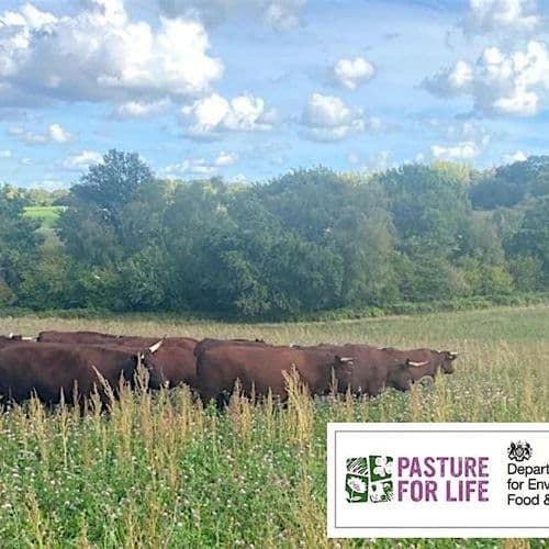 meta image for The Farm as a Living System: Biodynamics Meets Organic & Pasture for Life