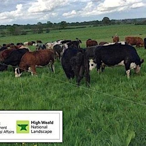 meta image for Farming Through Difficult Seasons: Leave more grass in the field