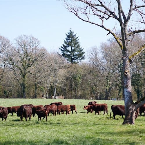 meta image for Beyond the Farm Gate - the Future of Food and Farming