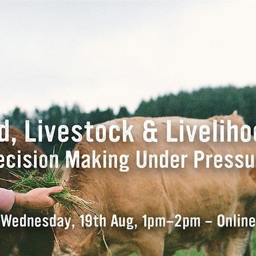 meta image for Land, Livestock & Livelihoods: Decision Making Under Pressure