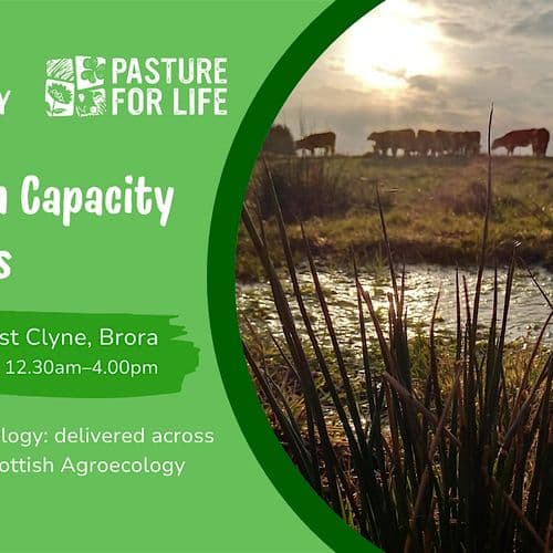 meta image for Upscaling Agroecology: The Hidden Capacity of the Hills