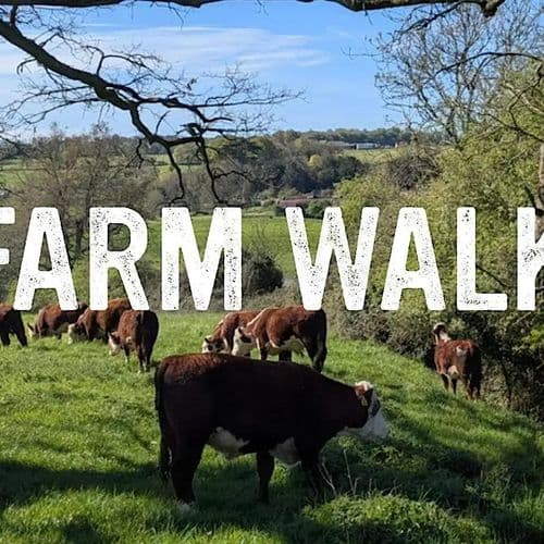 meta image for Stacking enterprises at Treway Farm