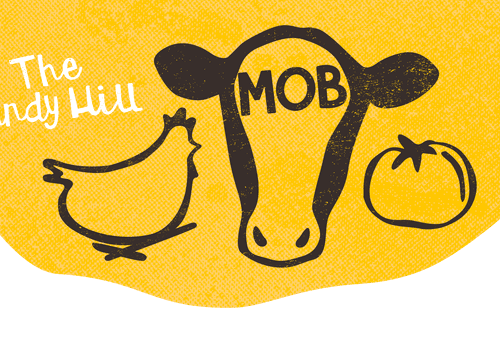 The Sandy Hill Mob main image