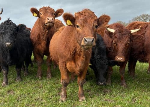 Poole Hall Farm LLP main image