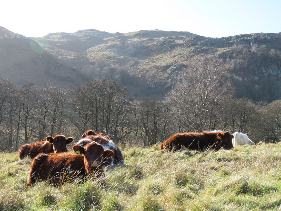 Gowbarrow Hall Farm Cumbria