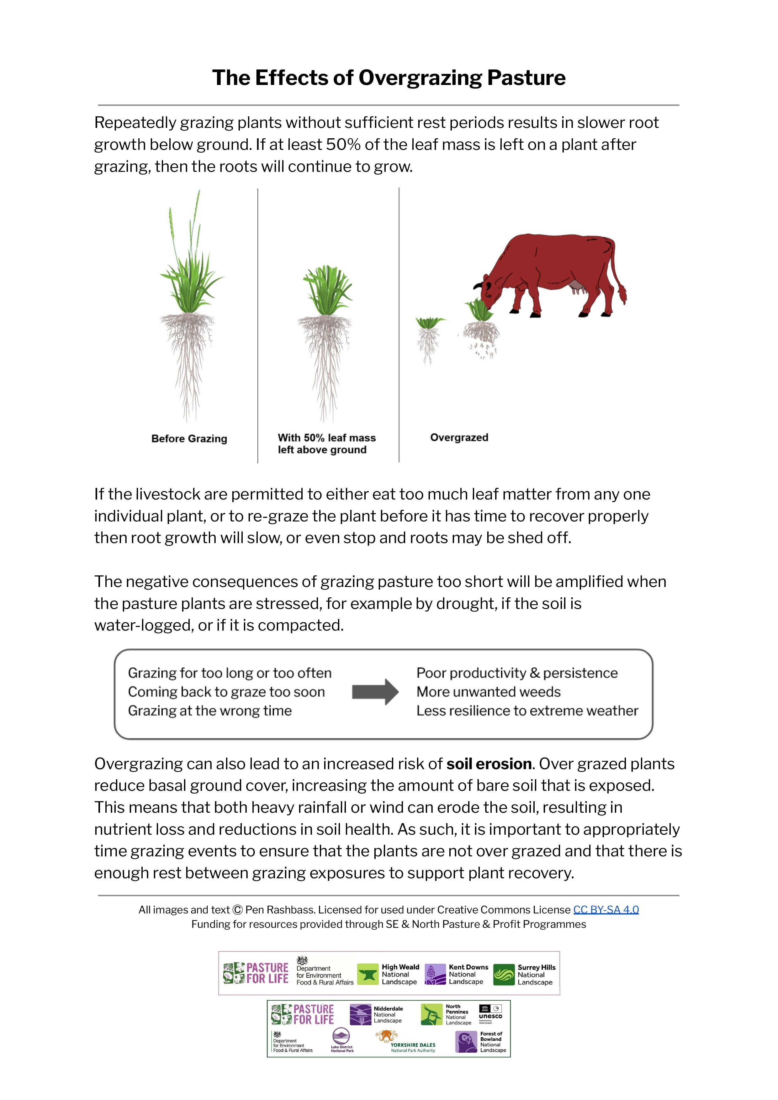 The Effects of Overgrazing Pasture