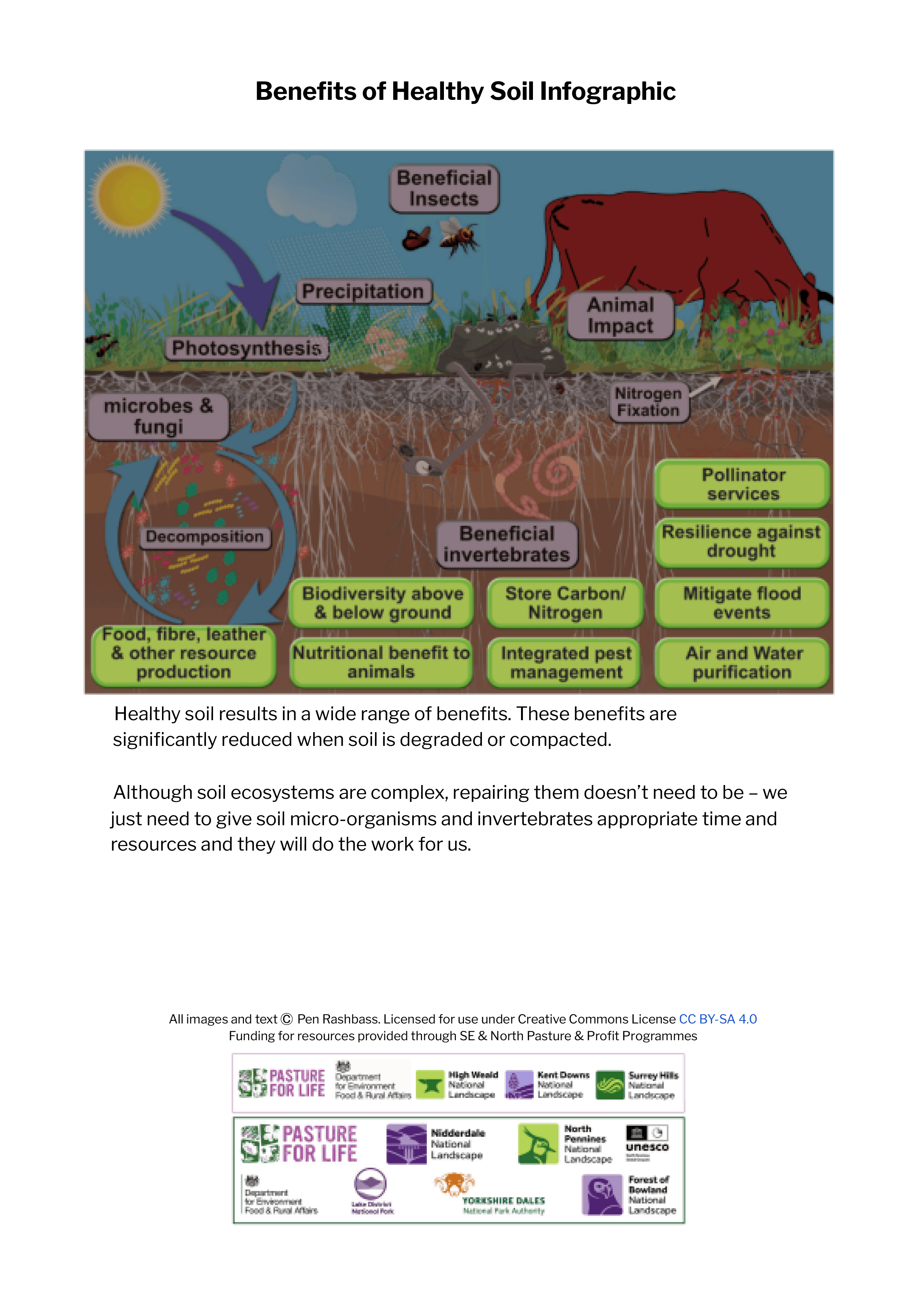 Benefits of Healthy Soil