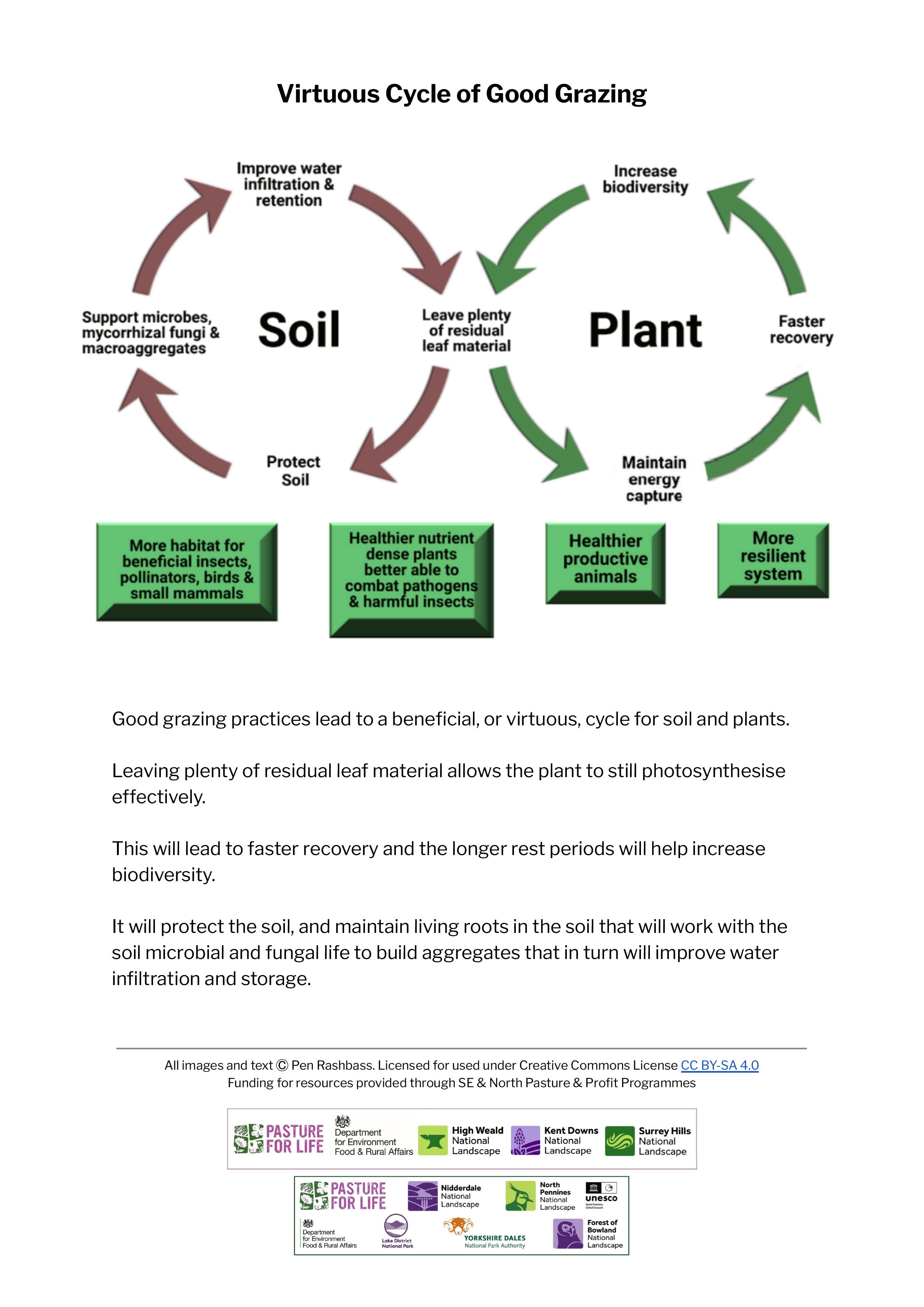 Soil and Plant Cycles - Good Grazing