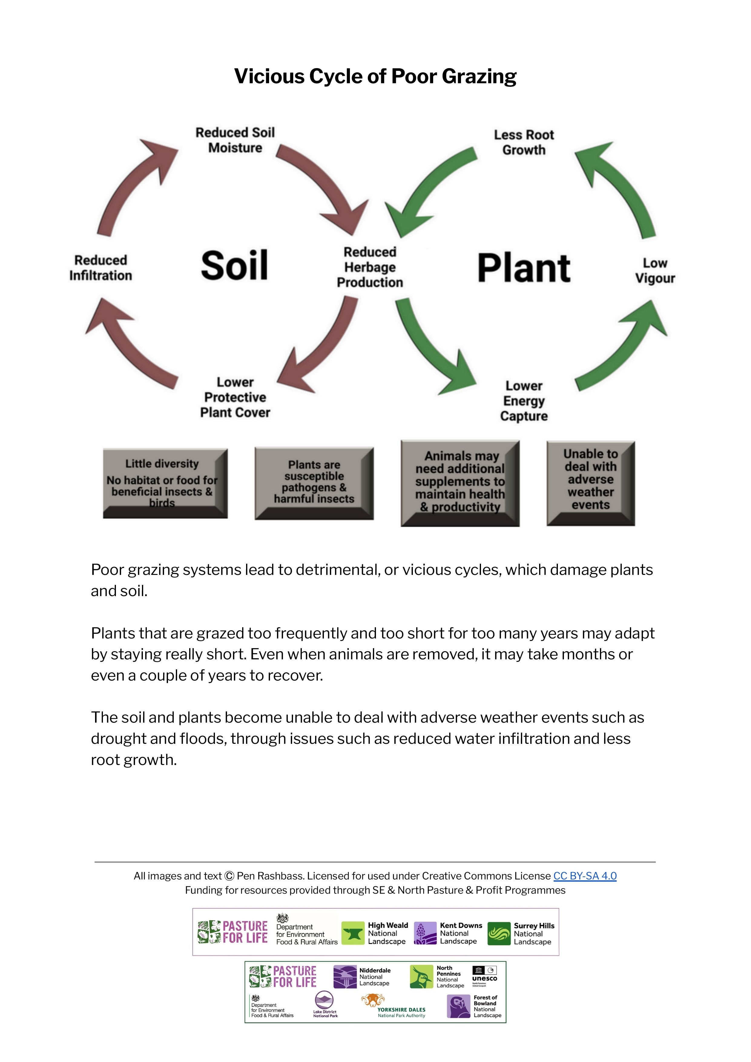 Soil and Plant Cycles - Poor Grazing