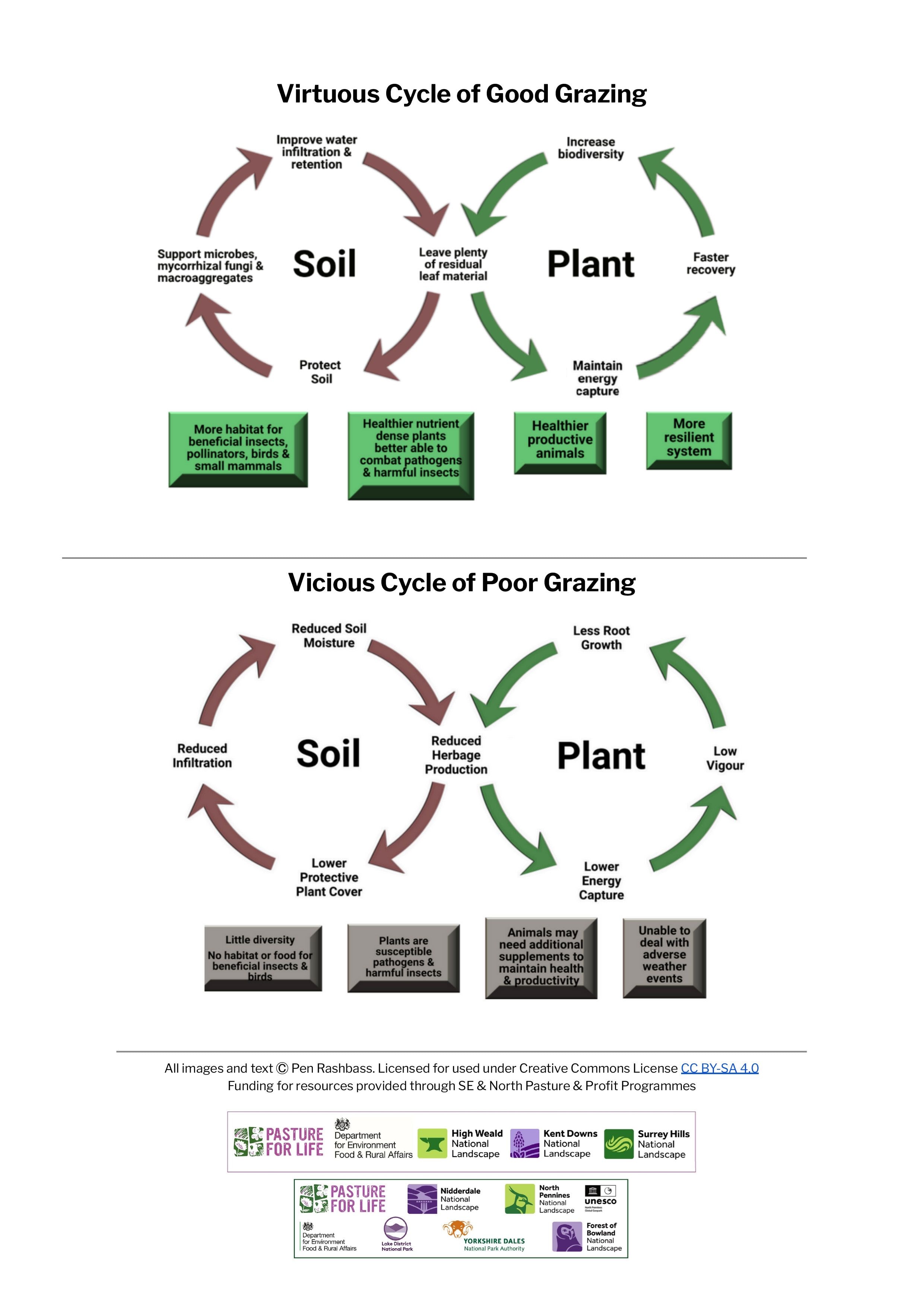 Soil and Plant Cycles - Poor Grazing vs Good Grazing