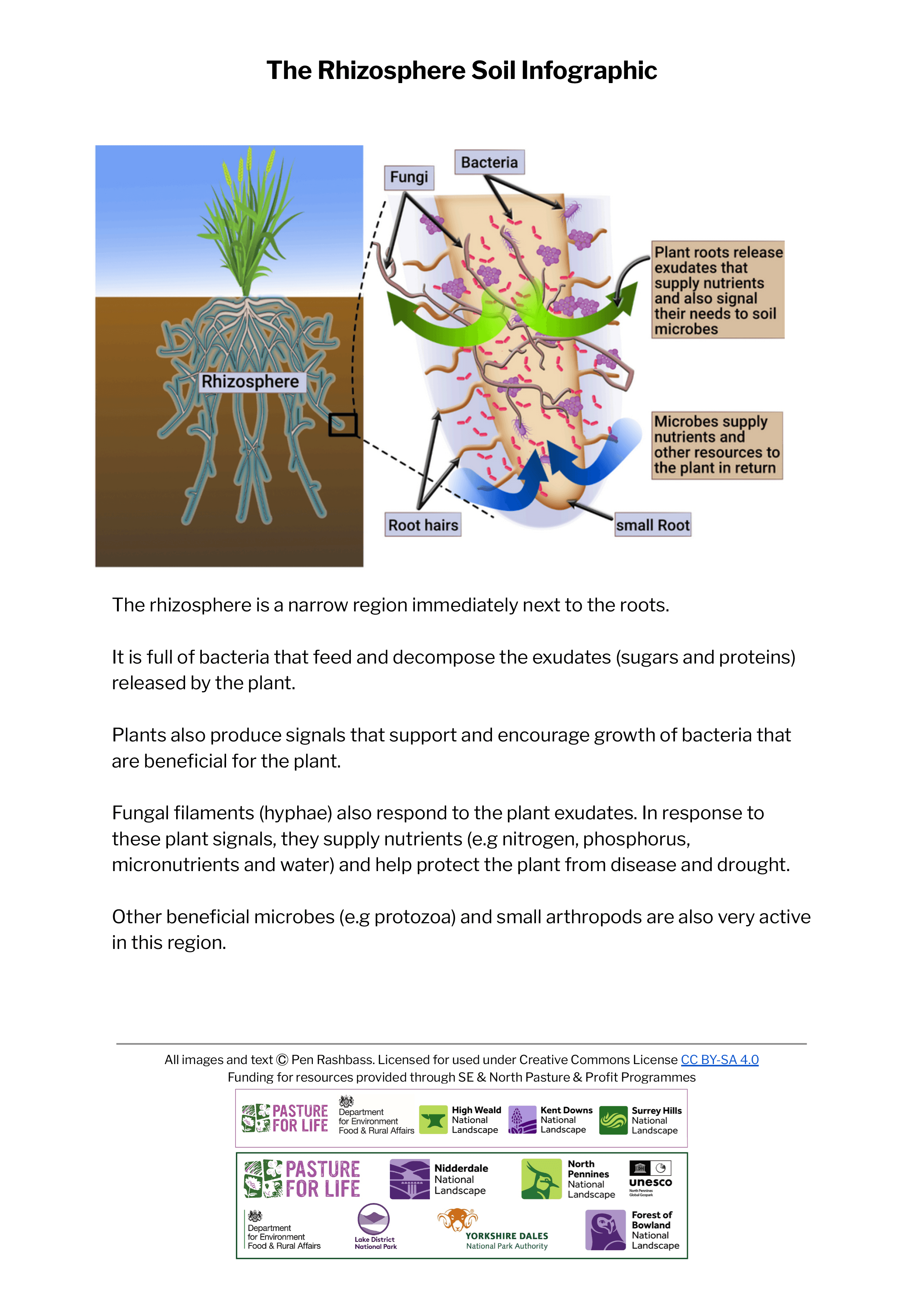 The Rhizosphere