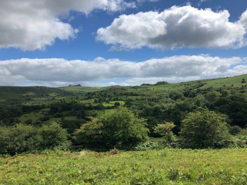 Cat Frampton, Dartmoor Farmer and Artist - Dartmoor