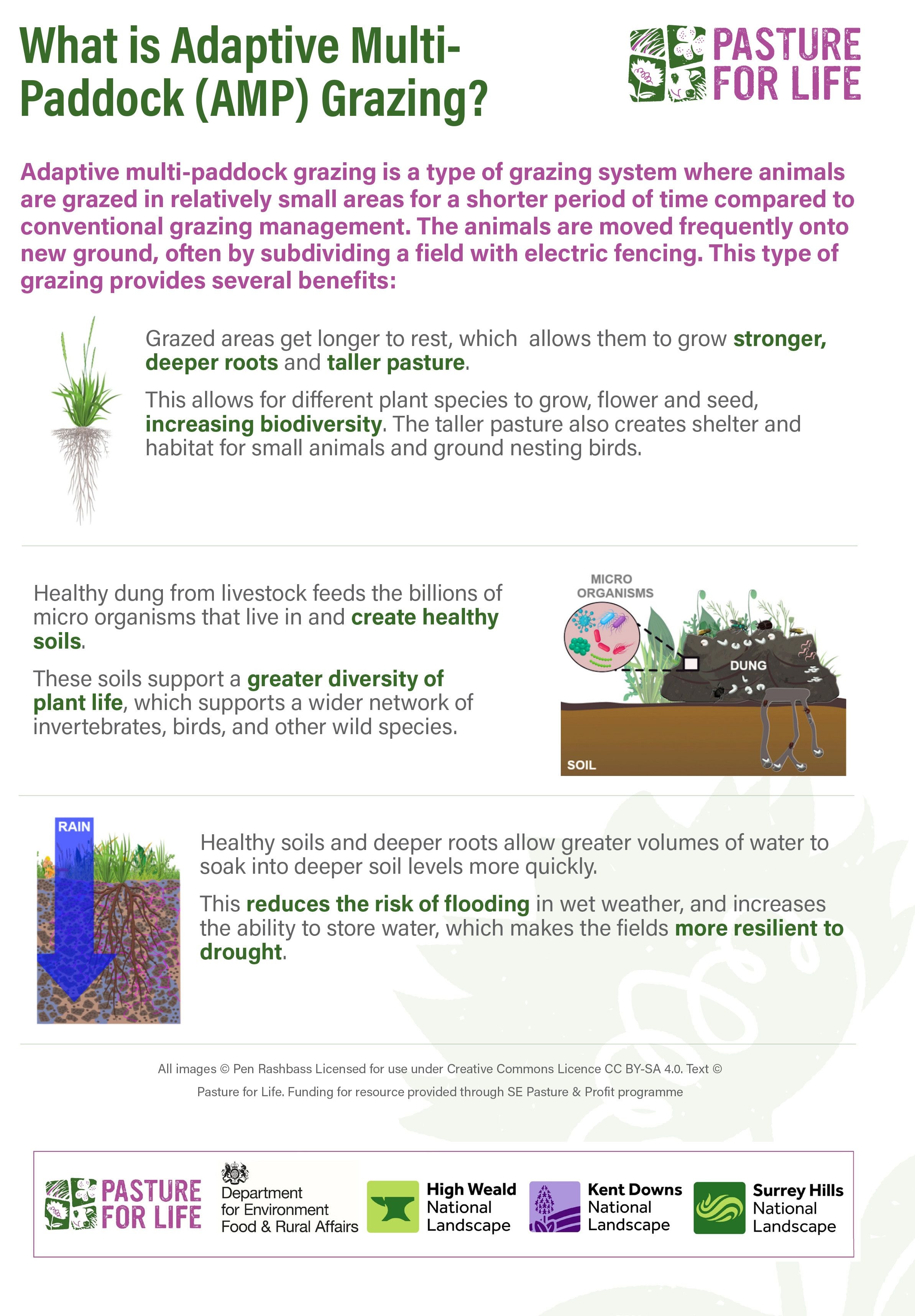 Handout / Sign: What is AMP Grazing?