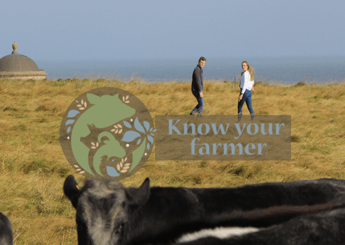Seaview Farms main image