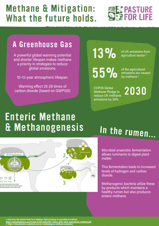 Methane and Mitigation as an infographic