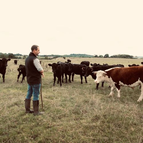 Image of who Fordhall farm is
