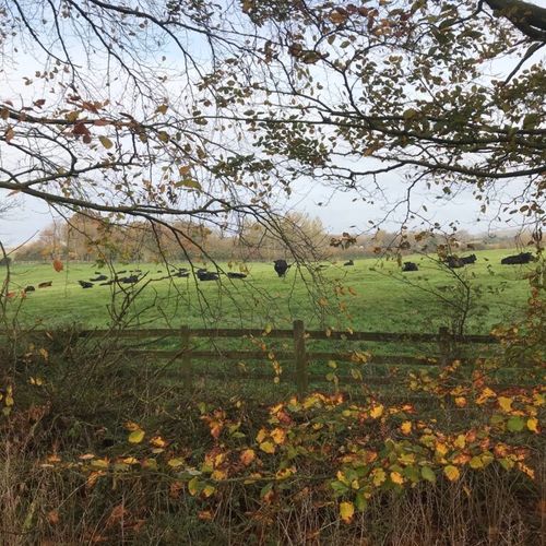Oxleaze Farm, Gloucestershire