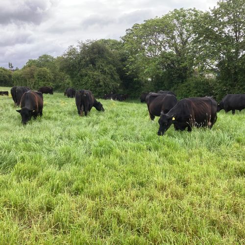 Image of who Eatons Farm is