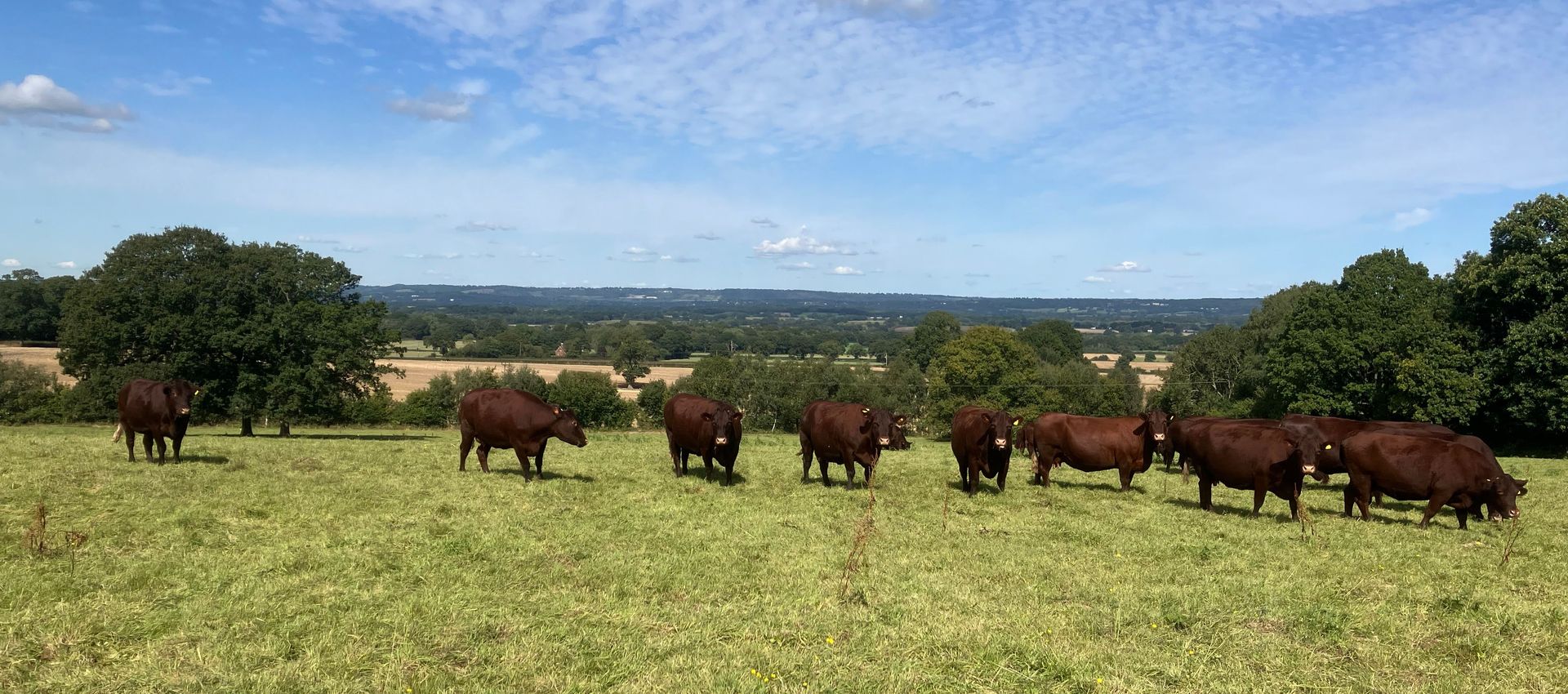 Hoopers Farm main image
